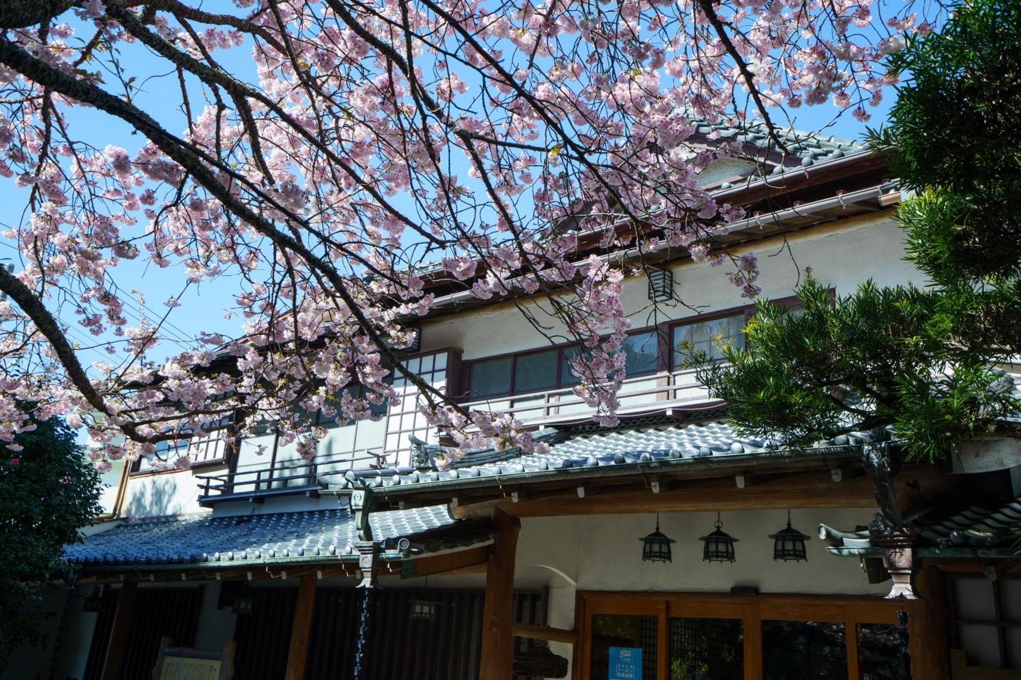 Sakahijiri Gyokushoen Izu  Exterior photo